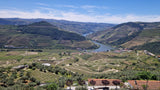 Douro Tour with Boat Ride, Wine Tasting, and Lunch